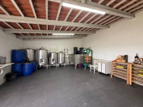 Quintinha com moradia, piscina, anexos e terreno - Alcoentre