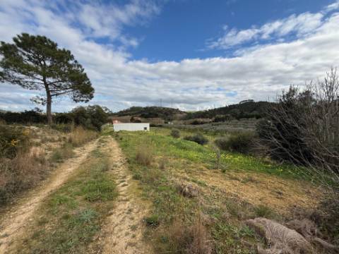 Quintinha com moradia, piscina, anexos e terreno - Alcoentre