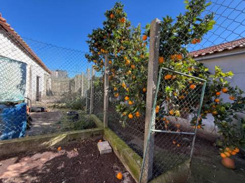 Moradia individual com anexos, piscina, armazéns e terreno - Landal