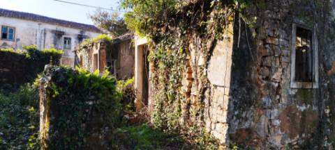 Terreno com ruína - local sossegado e vistas fantásticas