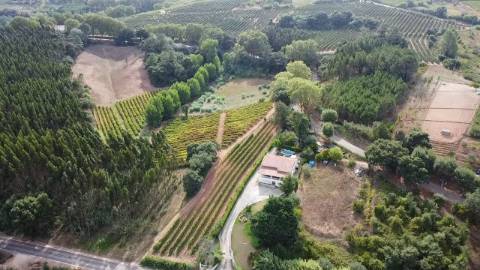 MORADIA TRADICIONAL PORTUGUESA COM PISCINA E VISTAS DESLUMBRANTES