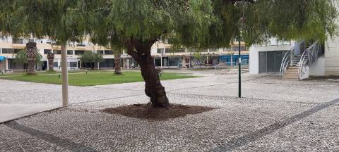 EXCELENTE APARTAMENTO T2 PARA ARRENDAR - BATALHA