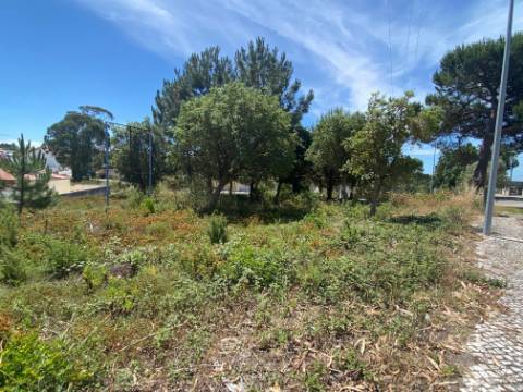 Moradia contemporânea térrea com piscina - Nadadouro, Caldas da Rainha