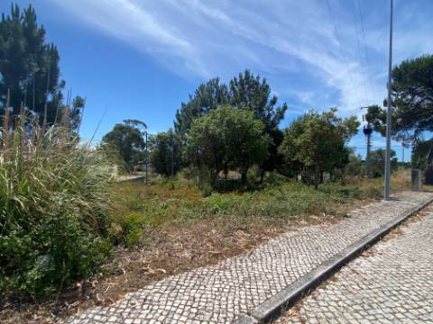 Moradia contemporânea térrea com piscina - Nadadouro, Caldas da Rainha