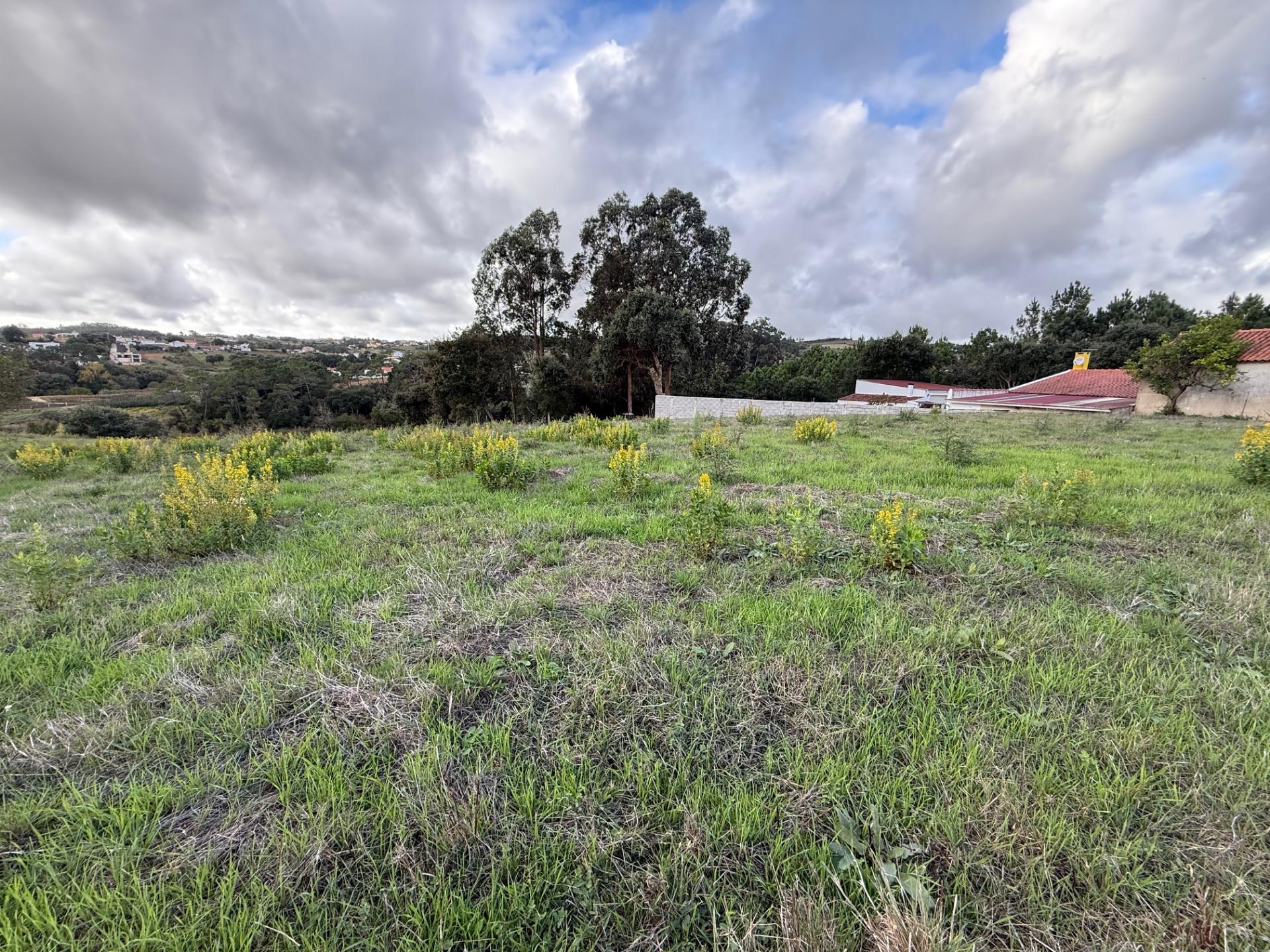 Terreno para construção - a 15 minutos da praia de São Martinho do Porto