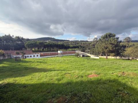 Quintinha com habitação, armazéns e terreno - Rio Maior
