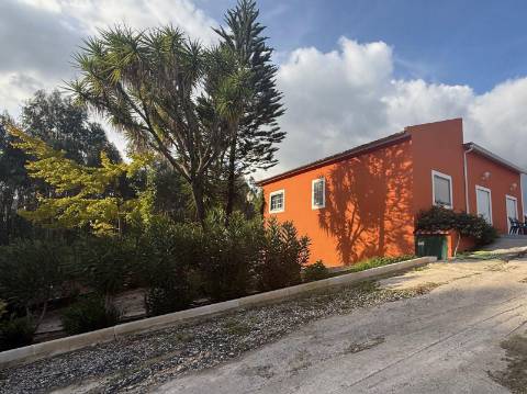Quintinha com habitação, armazéns e terreno - Rio Maior