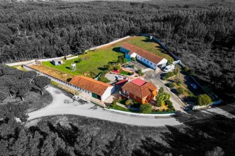 Quintinha com habitação, armazéns e terreno - Rio Maior