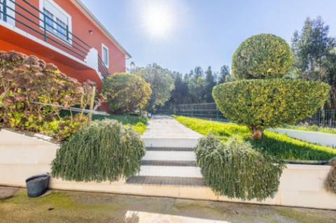 Quintinha com habitação, armazéns e terreno - Rio Maior