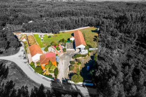 Quintinha com habitação, armazéns e terreno - Rio Maior