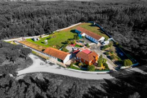 Quintinha com habitação, armazéns e terreno - Rio Maior