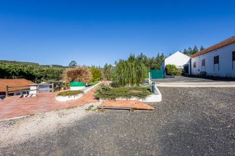 Quintinha com habitação, armazéns e terreno - Rio Maior