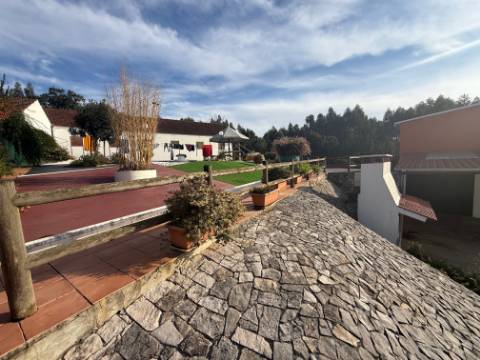Quintinha com habitação, armazéns e terreno - Rio Maior