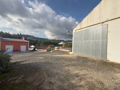 Quintinha com habitação, armazéns e terreno - Rio Maior