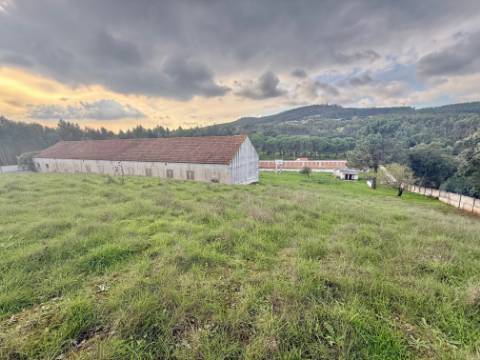 Quintinha com habitação, armazéns e terreno - Rio Maior