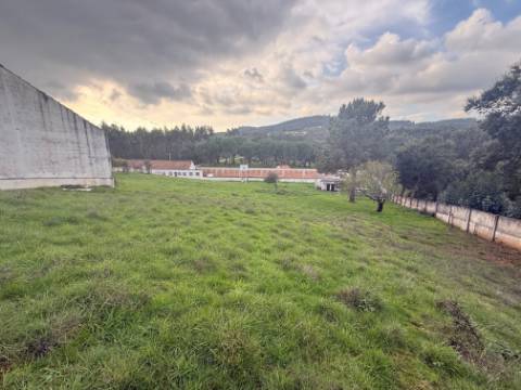 Quintinha com habitação, armazéns e terreno - Rio Maior
