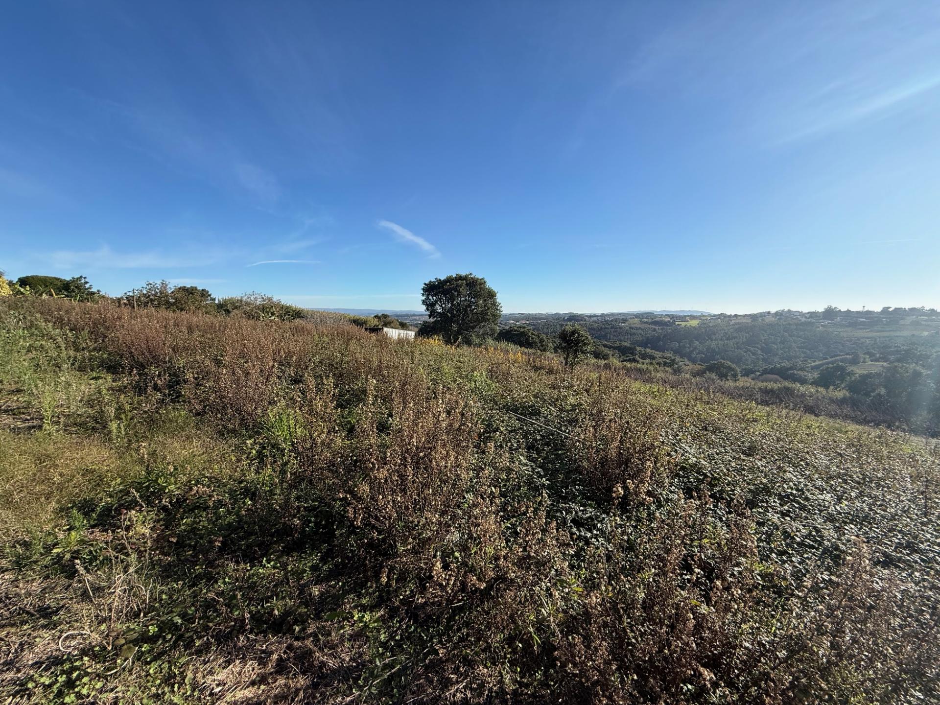 Terreno de 2.480m2 para construção - Usseira, Óbidos