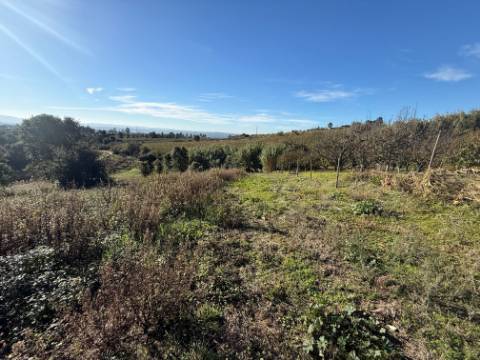 Terreno de 2.480m2 para construção - Usseira, Óbidos