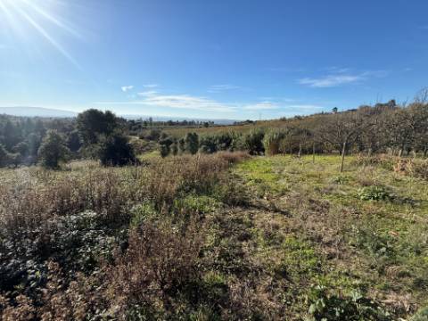 Terreno de 2.480m2 para construção - Usseira, Óbidos