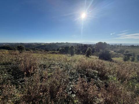 Terreno de 2.480m2 para construção - Usseira, Óbidos