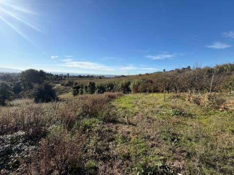 Terreno de 2.480m2 para construção - Usseira, Óbidos