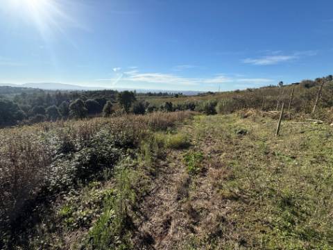 Terreno de 2.480m2 para construção - Usseira, Óbidos