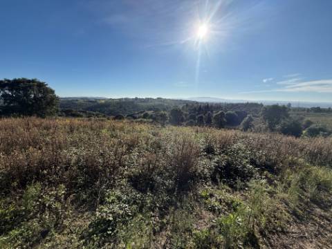 Terreno de 2.480m2 para construção - Usseira, Óbidos