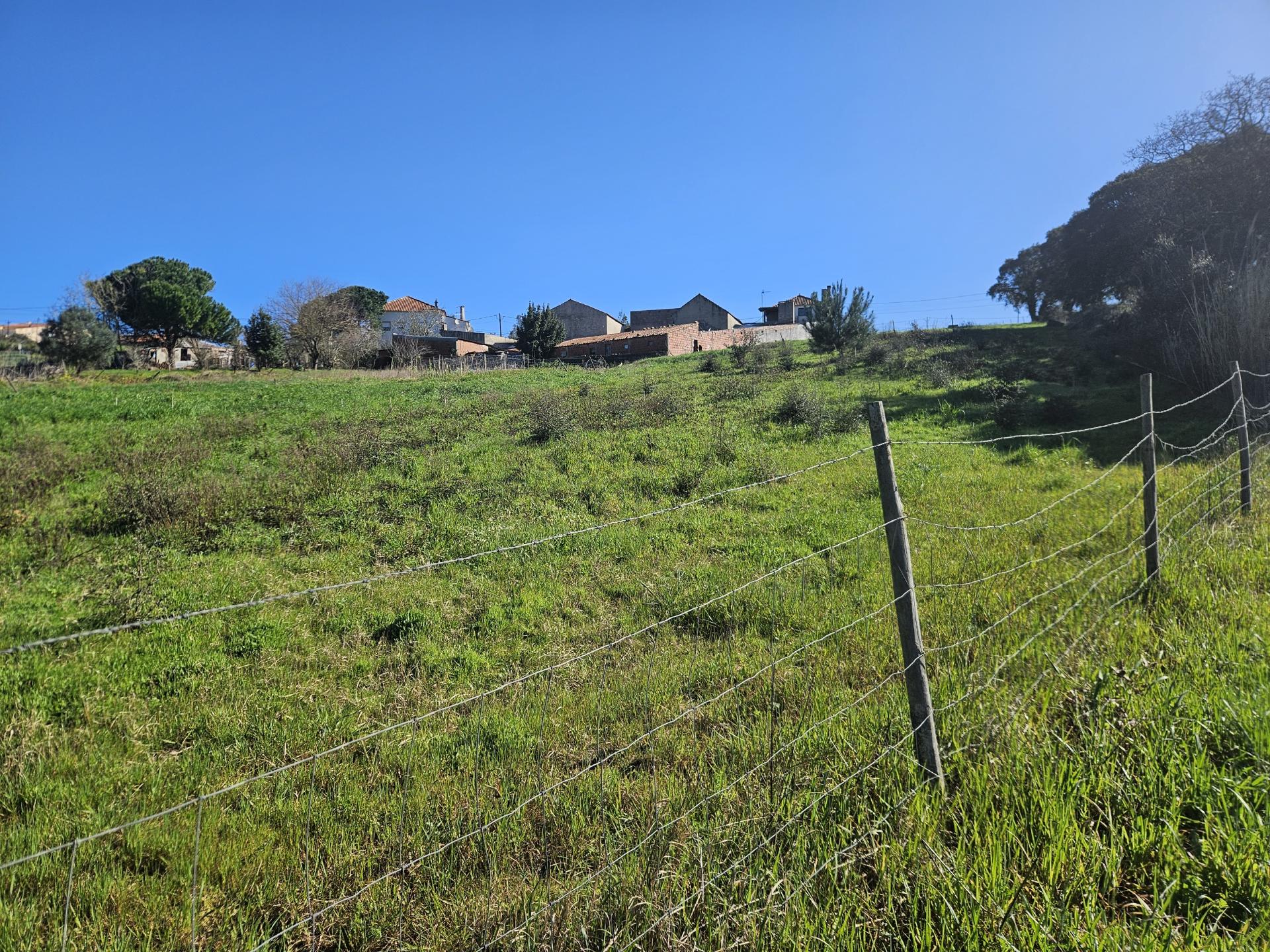 TERRENO COM PROJETO APROVADO PERTO DE CALDAS DA RAINHA