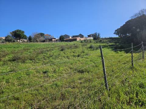 TERRENO COM PROJETO APROVADO PERTO DE CALDAS DA RAINHA
