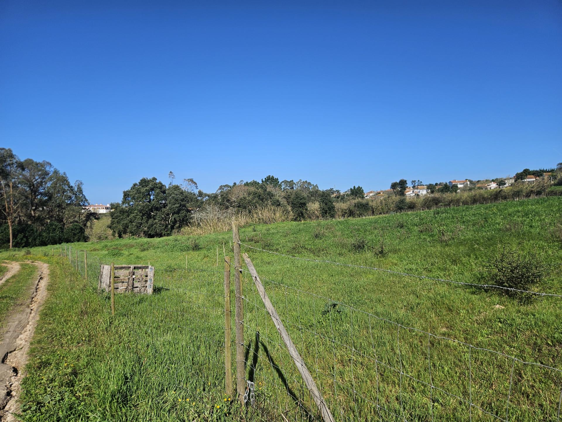 TERRENO COM PROJETO APROVADO PERTO DE CALDAS DA RAINHA