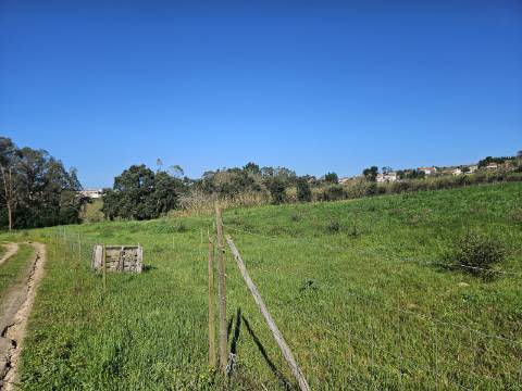 TERRENO COM PROJETO APROVADO PERTO DE CALDAS DA RAINHA