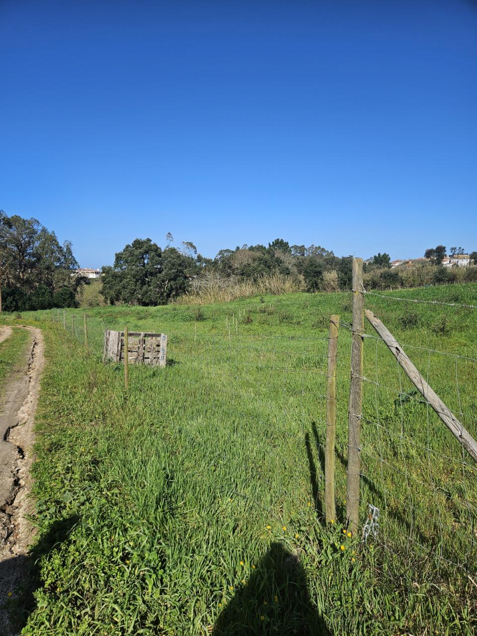 TERRENO COM PROJETO APROVADO PERTO DE CALDAS DA RAINHA