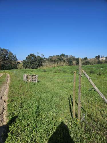 TERRENO COM PROJETO APROVADO PERTO DE CALDAS DA RAINHA