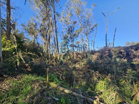 TERRENO COM PROJETO APROVADO PERTO DE CALDAS DA RAINHA