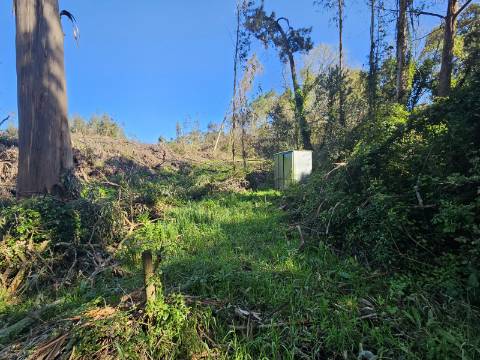 TERRENO COM PROJETO APROVADO PERTO DE CALDAS DA RAINHA
