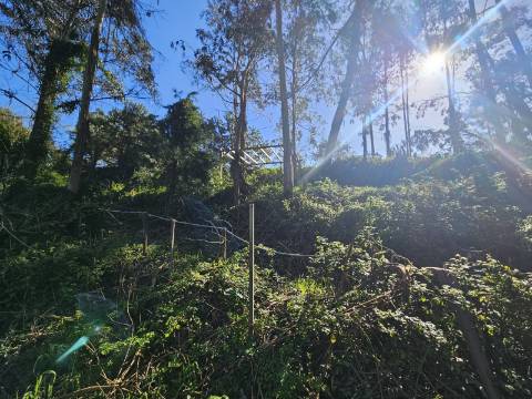 TERRENO COM PROJETO APROVADO PERTO DE CALDAS DA RAINHA