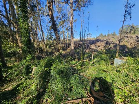 TERRENO COM PROJETO APROVADO PERTO DE CALDAS DA RAINHA