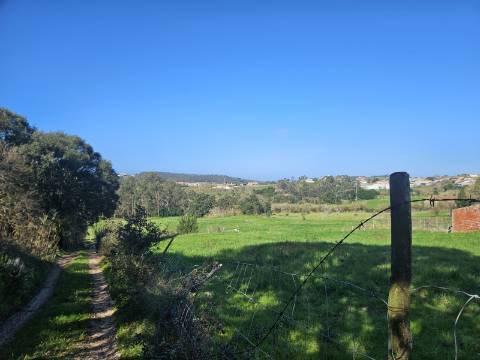 TERRENO COM PROJETO APROVADO PERTO DE CALDAS DA RAINHA