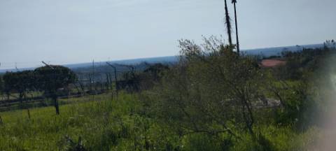 TERRENO AGRÍCOLA PARA VENDA - SOUTO DA CARPALHOSA