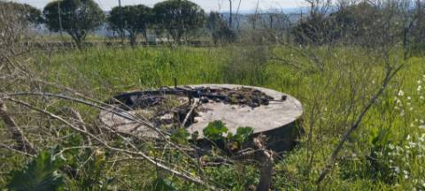 TERRENO AGRÍCOLA PARA VENDA - SOUTO DA CARPALHOSA
