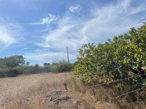 Terreno rústico, em Sesimbra com 3750 m2
