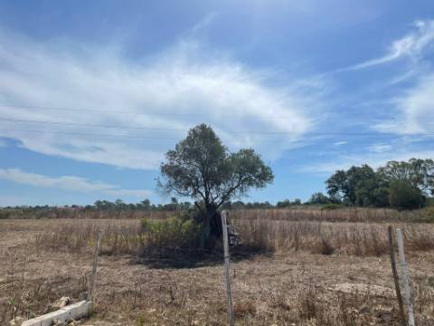 Terreno rústico, em Sesimbra com 3750 m2