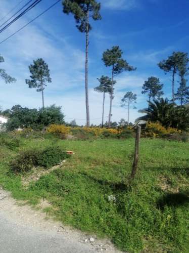 Terreno urbano com 3977 m2 na Aroeira, Charneca de Caparica.