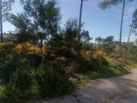 Terreno urbano com 3977 m2 na Aroeira, Charneca de Caparica.