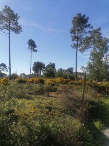 Terreno urbano com 3977 m2 na Aroeira, Charneca de Caparica.