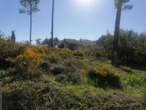 Terreno urbano com 3977 m2 na Aroeira, Charneca de Caparica.
