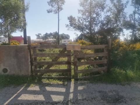 Terreno urbano com 3977 m2 na Aroeira, Charneca de Caparica.