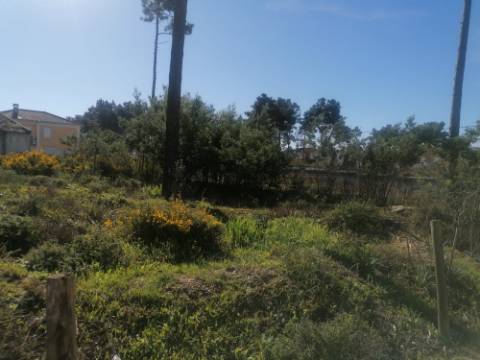 Terreno urbano com 3977 m2 na Aroeira, Charneca de Caparica.