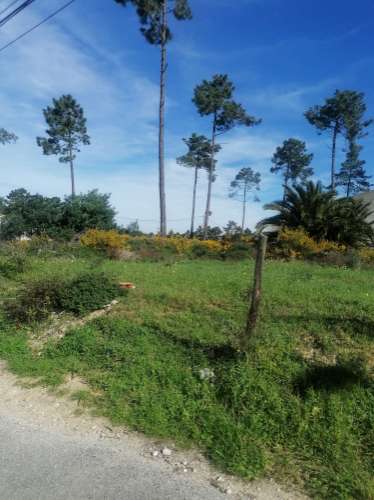 Terreno urbano com 3977 m2 na Aroeira, Charneca de Caparica.