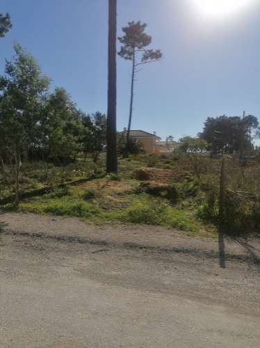 Terreno urbano com 3977 m2 na Aroeira, Charneca de Caparica.